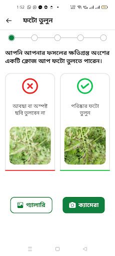 Translation Service